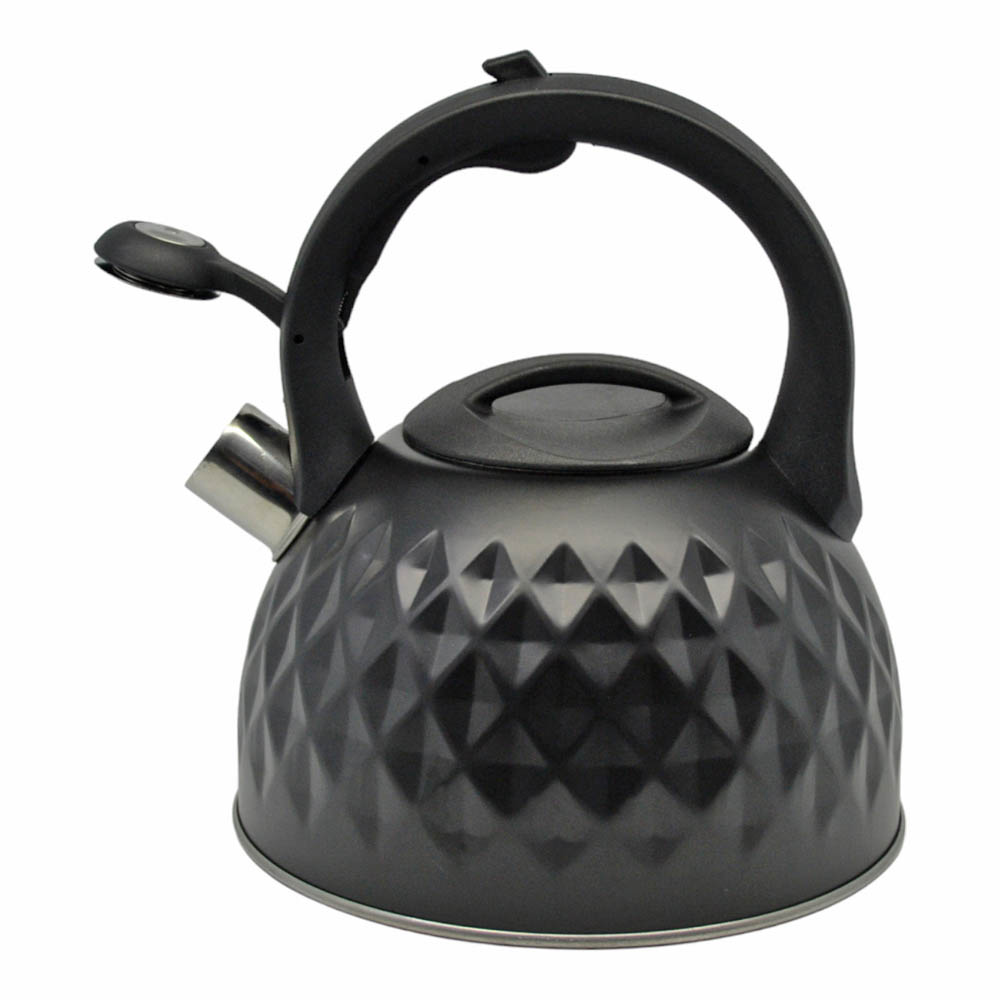 Τσαγιέρα ανοξείδωτη σε χρώμα μαύρο 3lt 20x20x23