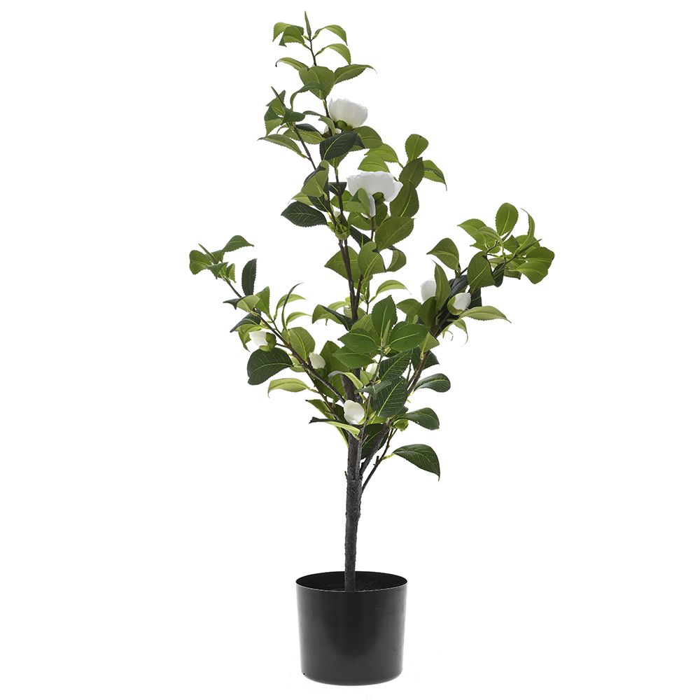 Δέντρο καμέλια σε λευκό χρώμα τεχνητό σε μαύρη πλαστική γλάστρα