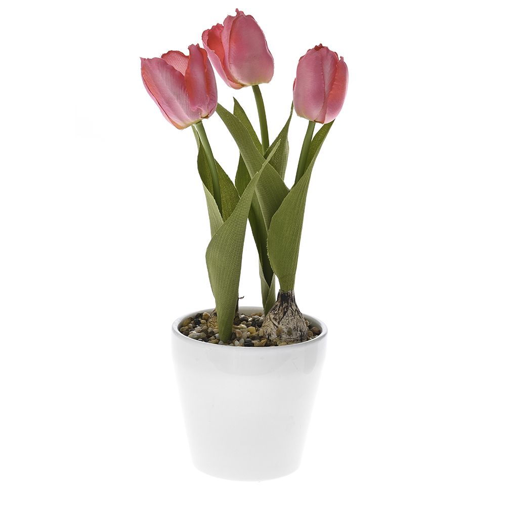 Γλάστρα κεραμική σε λευκό χρώμα με ροζ τουλίπες