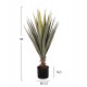 Φυτό σε γλάστρα ''SISAL AGAVE'' Φ15,5x14,5-96