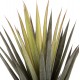 Φυτό σε γλάστρα ''SISAL AGAVE'' Φ15,5x14,5-96