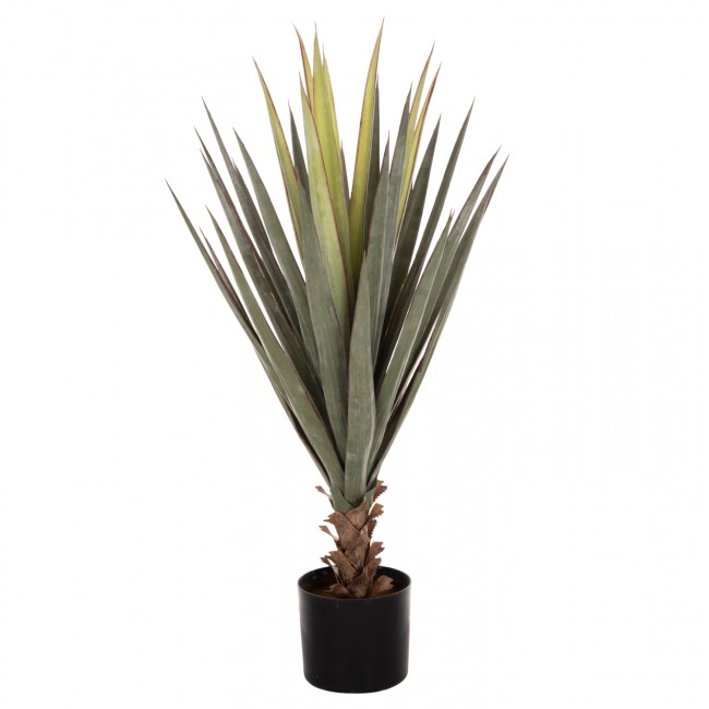 Φυτό σε γλάστρα ''SISAL AGAVE'' Φ15,5x14,5-96