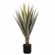 Φυτό σε γλάστρα ''SISAL AGAVE'' Φ15,5x14,5-96