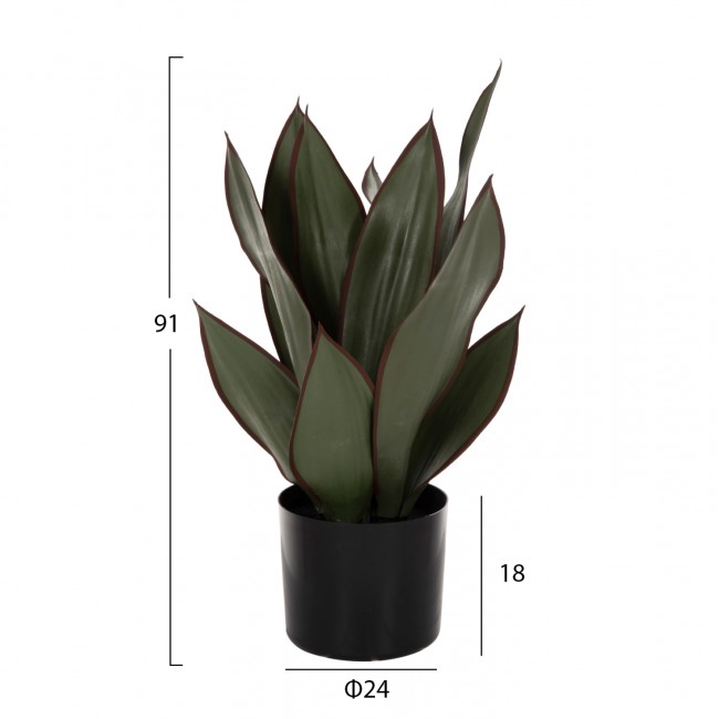 Φυτό σε γλάστρα ''ΠΛΑΤΥΦΥΛΛΗ'' Φ14x12-51