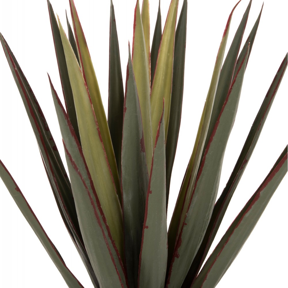 Φυτό "SISAL AGAVE" σε γλάστρα  Φ13,5x13-76