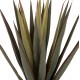 Φυτό "SISAL AGAVE" σε γλάστρα  Φ13,5x13-76