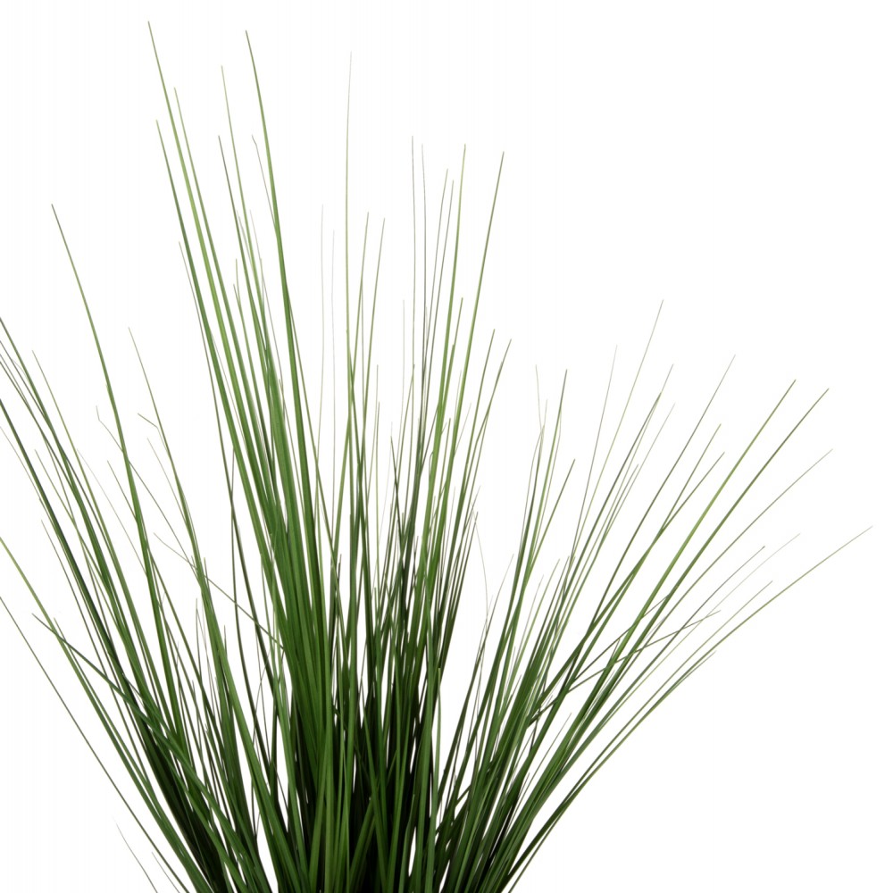 Φυτό "GRASS" σε γλάστρα  Φ11.5x11.5-90