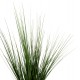 Φυτό "GRASS" σε γλάστρα  Φ11,5x11,5-90