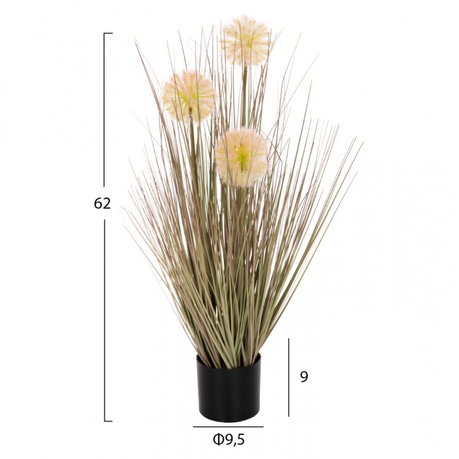 Φυτό "DANDELION/GRASS" σε γλάστρα Φ9,5x9-62