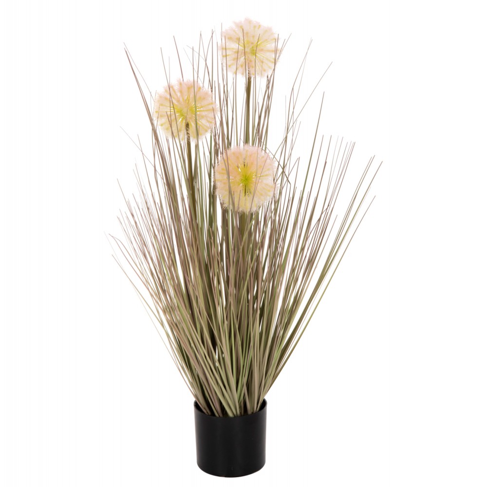 Φυτό "DANDELION/GRASS" σε γλάστρα Φ9,5x9-62