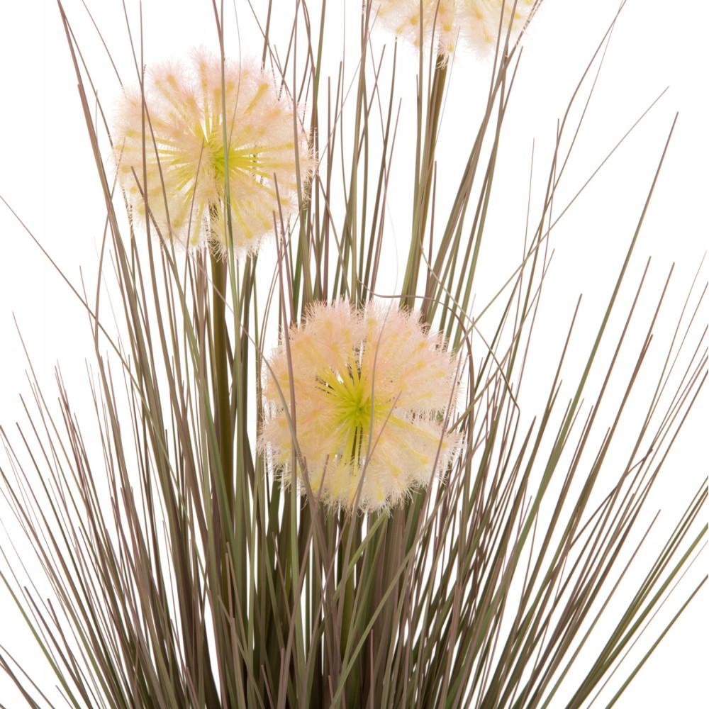 Φυτό "DANDELION/GRASS" σε γλάστρα Φ9,5x9-62