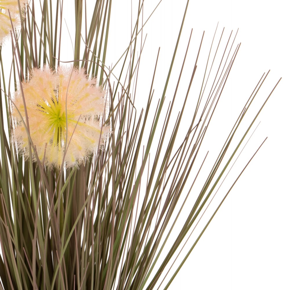 Φυτό "DANDELION/GRASS" σε γλάστρα Φ9,5x9-62