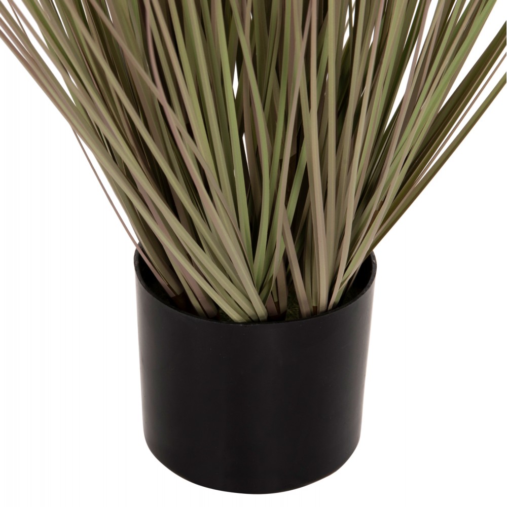 Φυτό "DANDELION/GRASS" σε γλάστρα Φ9,5x9-62