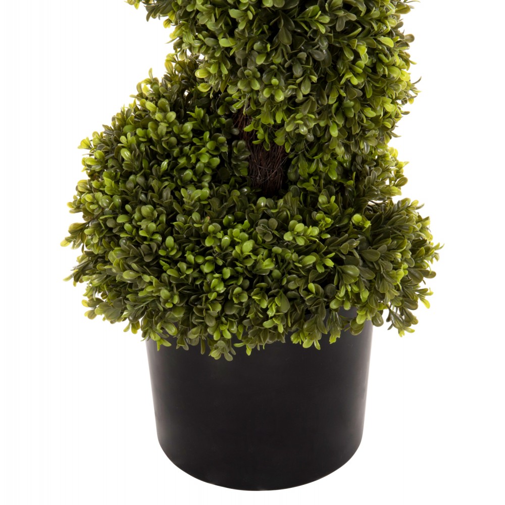 Φυτό πυξάρι σε γλάστρα Φ18x17-122