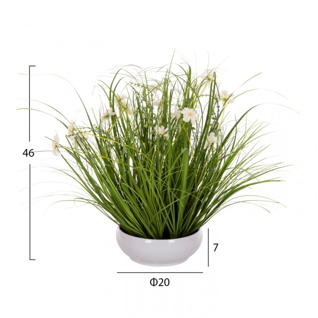 Φυτό "GRASS" σε γλάστρα Φ20x7-46