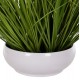Φυτό "GRASS" σε γλάστρα Φ20x7-46