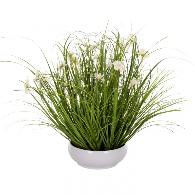Φυτό "GRASS" σε γλάστρα Φ20x7-46