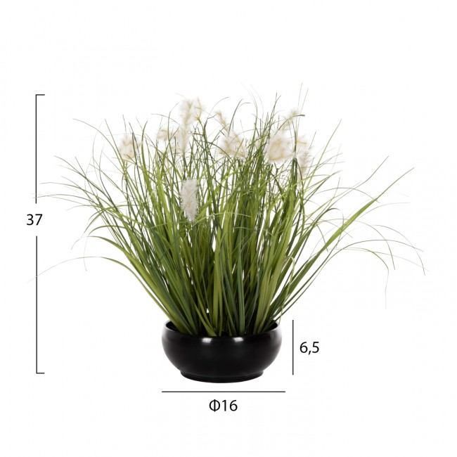 Φυτό "GRASS" σε γλάστρα  Φ16x6,5-37
