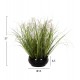 Φυτό "GRASS" σε γλάστρα  Φ16x6,5-37