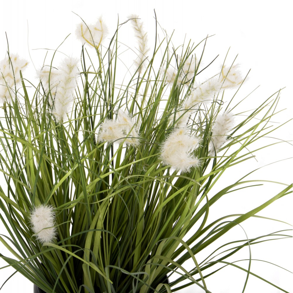 Φυτό "GRASS" σε γλάστρα  Φ16x6,5-37