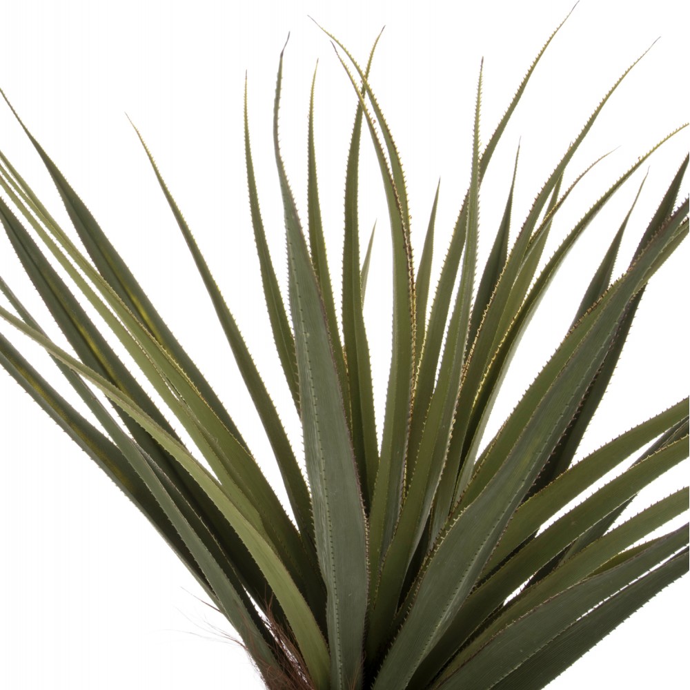 Φυτό "ΦΟΙΝΙΚΟΔΕΝΤΡΟ" σε γλάστρα Φ23x18-180