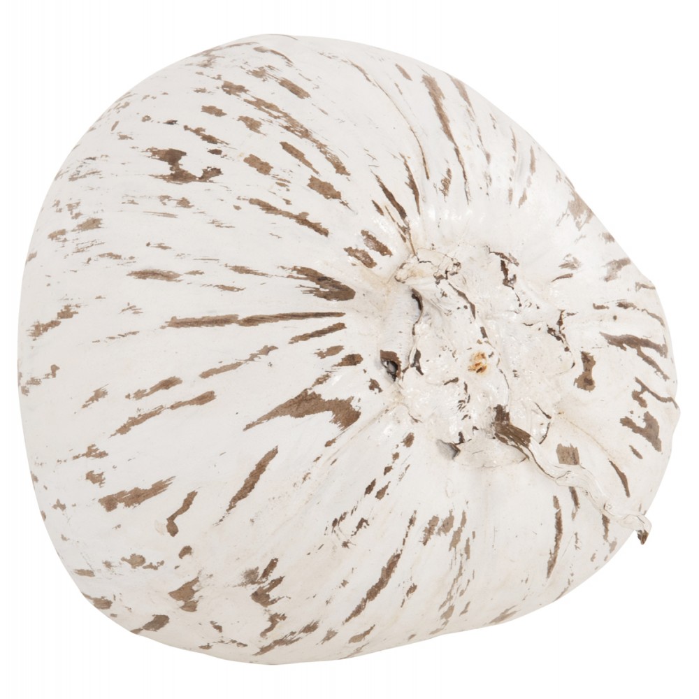 Διακοσμητικό επιτραπέζιο "ΚΑΡΥΔΑ" σε χρώμα λευκό 20x20x20