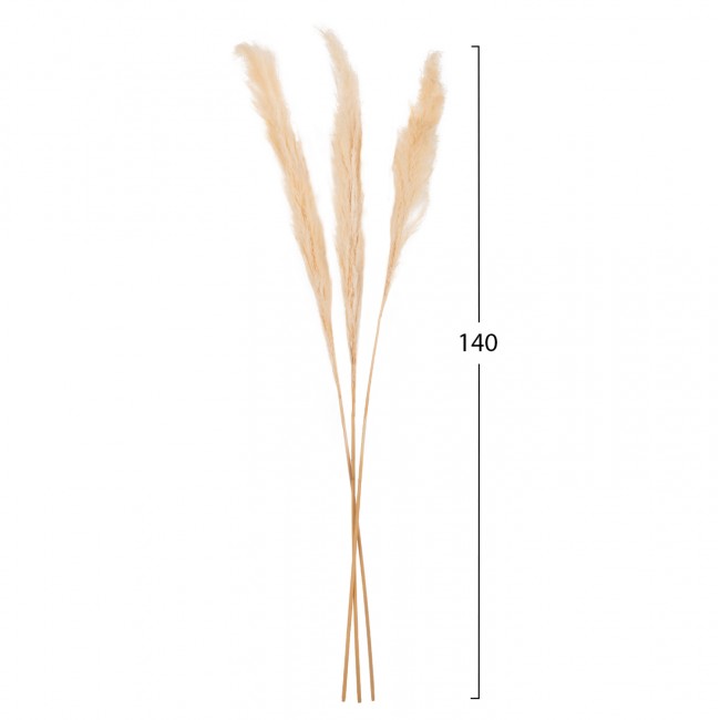Διακοσμητικό μπουκέτο 3τμχ σε φυσικό χρώμα 140Υ