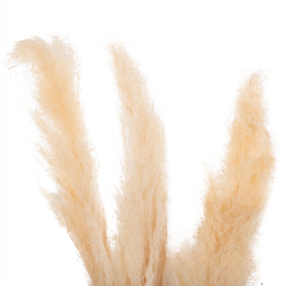 Διακοσμητικό μπουκέτο 3τμχ σε φυσικό χρώμα 140Υ