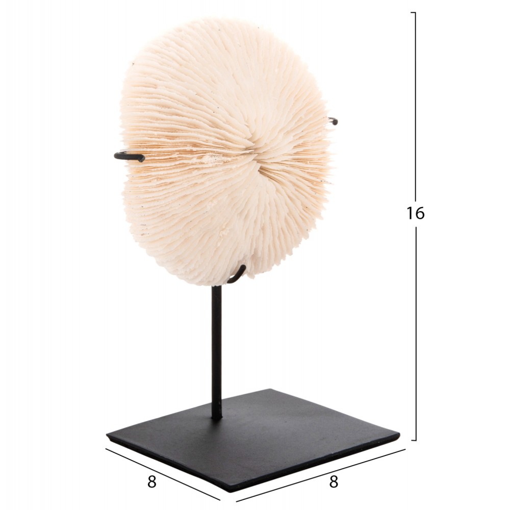 Επιτραπέζιο διακοσμητικό κοράλλι σε χρώμα φυσικό 8x8x16