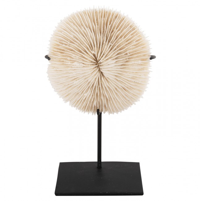 Επιτραπέζιο διακοσμητικό κοράλλι σε χρώμα φυσικό 8x8x16