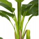 Διακοσμητικό συνθετικό φυτό "ΜΠΑΝΑΝΑΣ" σε γλάστρα 200Υ