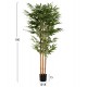 Διακοσμητικό συνθετικό φυτό "BAMBOO" σε γλάστρα 180Υ
