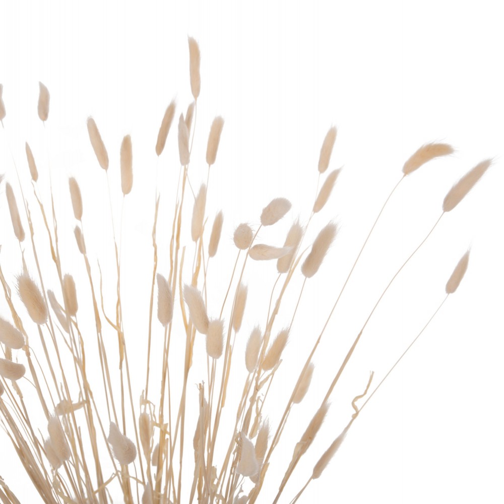 Διακοσμητικό μπουκέτο "RABBIT" σε φυσικό χρώμα 76Υ