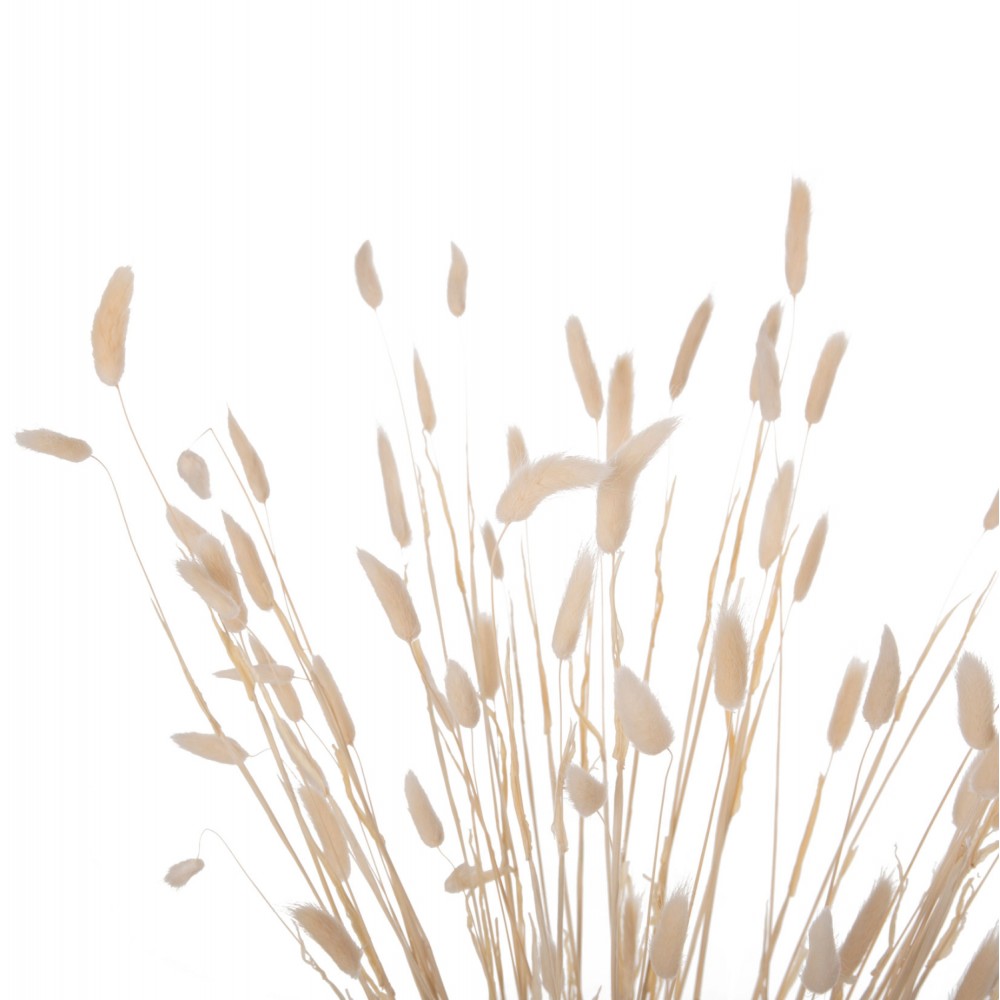 Διακοσμητικό μπουκέτο "RABBIT" σε φυσικό χρώμα 76Υ