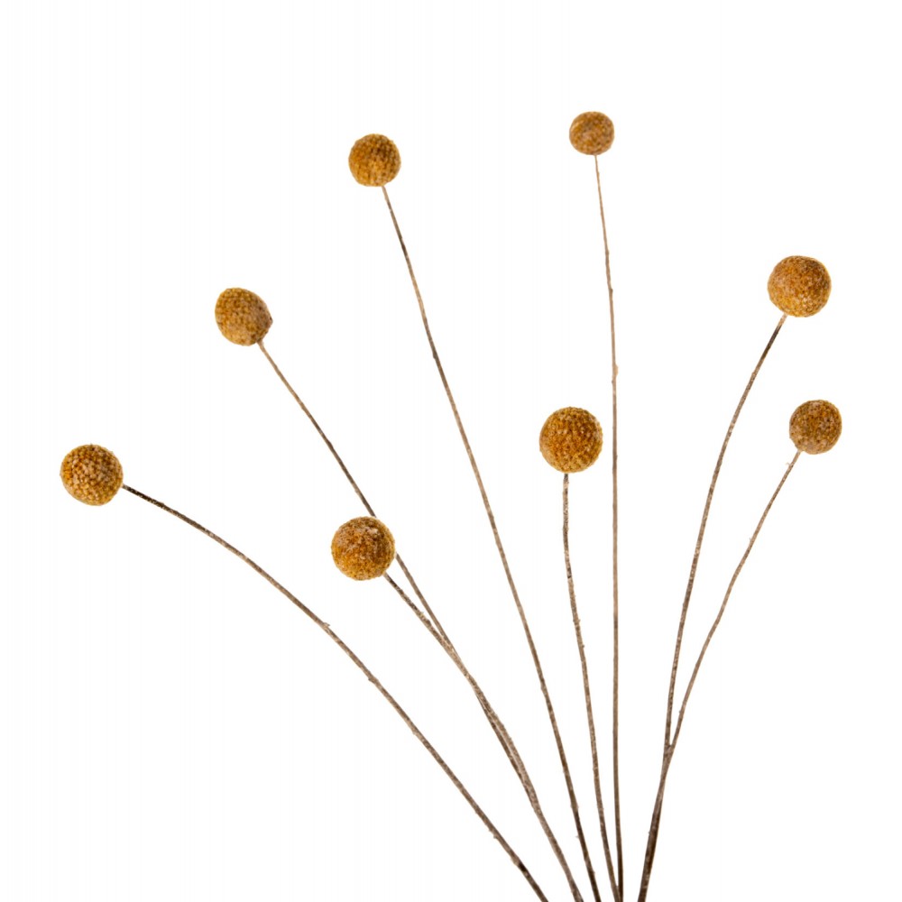 Διακοσμητικό μπουκέτο "CRASPEDIA" σε κίτρινο χρώμα 63Υ