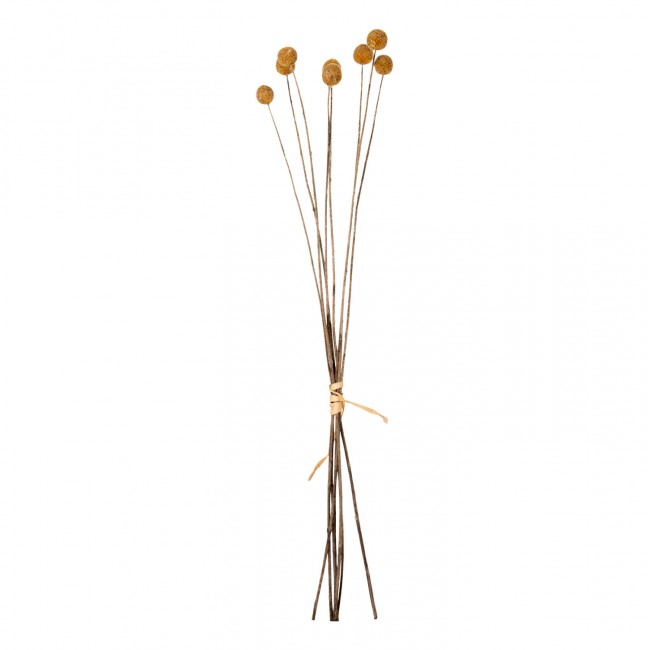 Διακοσμητικό μπουκέτο "CRASPEDIA" σε κίτρινο χρώμα 63Υ