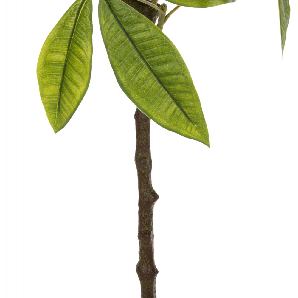 Διακοσμητικό συνθετικό φυτό "ΠΑΧΥΡΑ" σε γλάστρα 125Υ