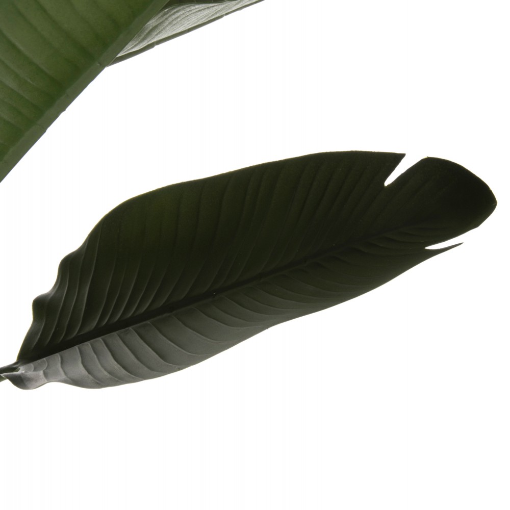 Διακοσμητικό συνθετικό φυτό "ΣΤΡΕΛΙΤΣΙΑ" σε γλάστρα Φ17x14,5-150