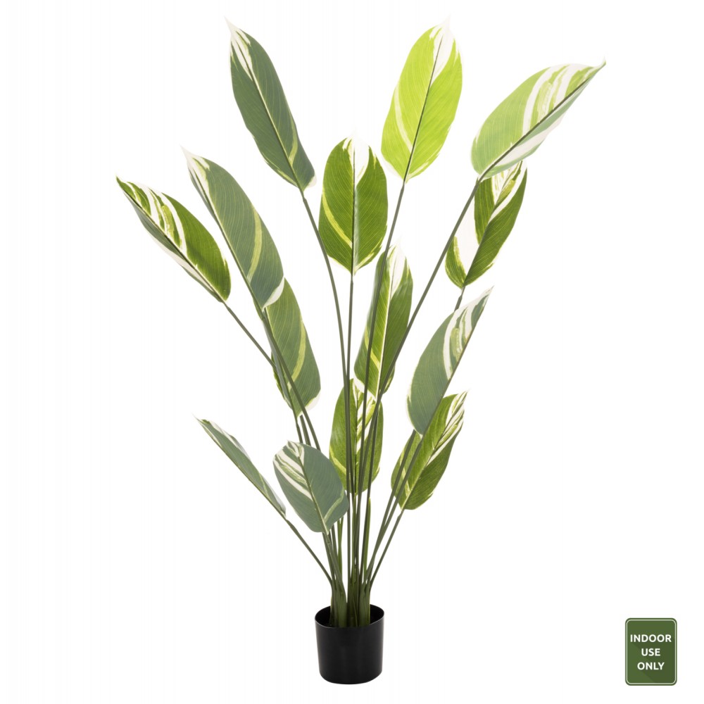 Διακοσμητικό συνθετικό φυτό "CALATHEA" σε γλάστρα 140Υ