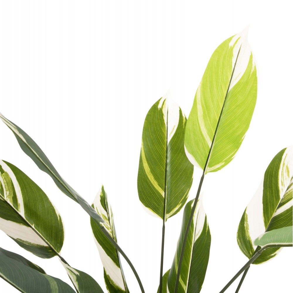 Διακοσμητικό συνθετικό φυτό "CALATHEA" σε γλάστρα 140Υ