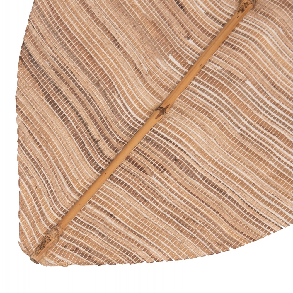 Διακοσμητικό φτερό από υδροϋάκινθο σε χρώμα φυσικό 32x3x200