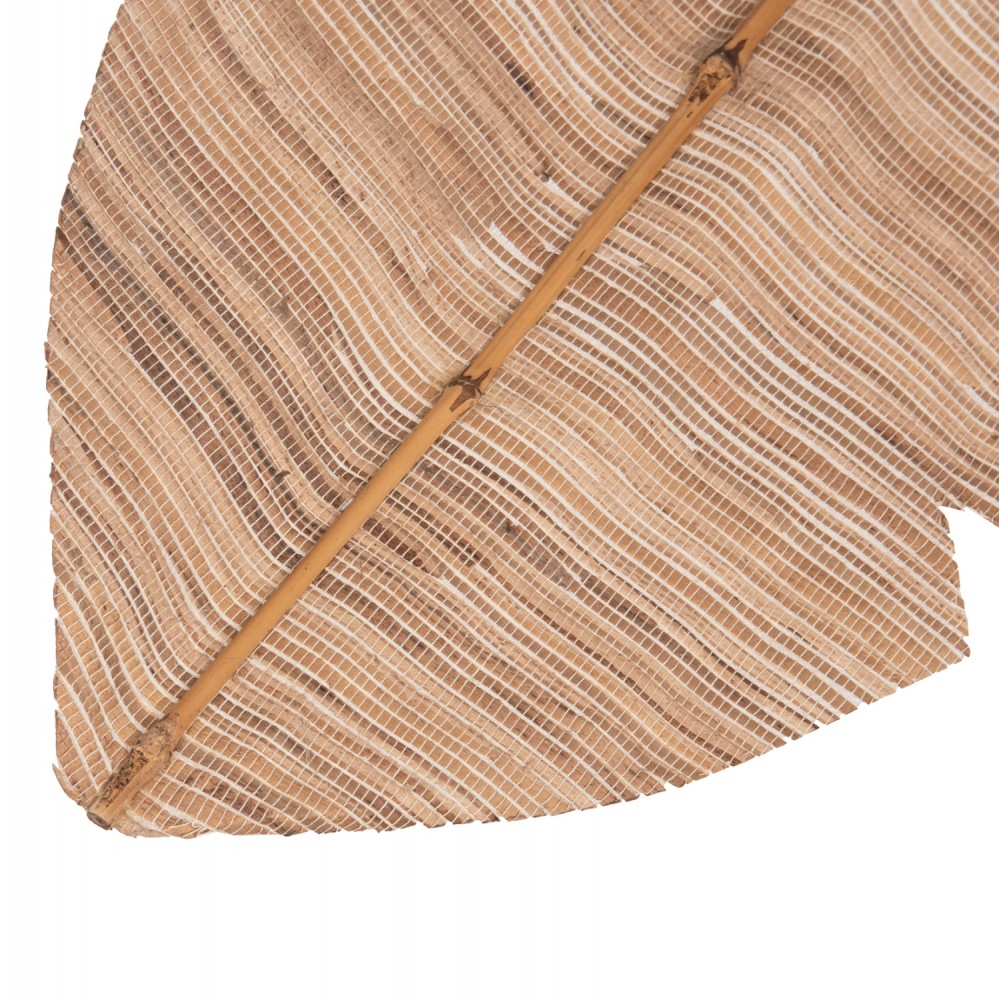 Διακοσμητικό φτερό από υδροϋάκινθο σε χρώμα φυσικό 32x3x200