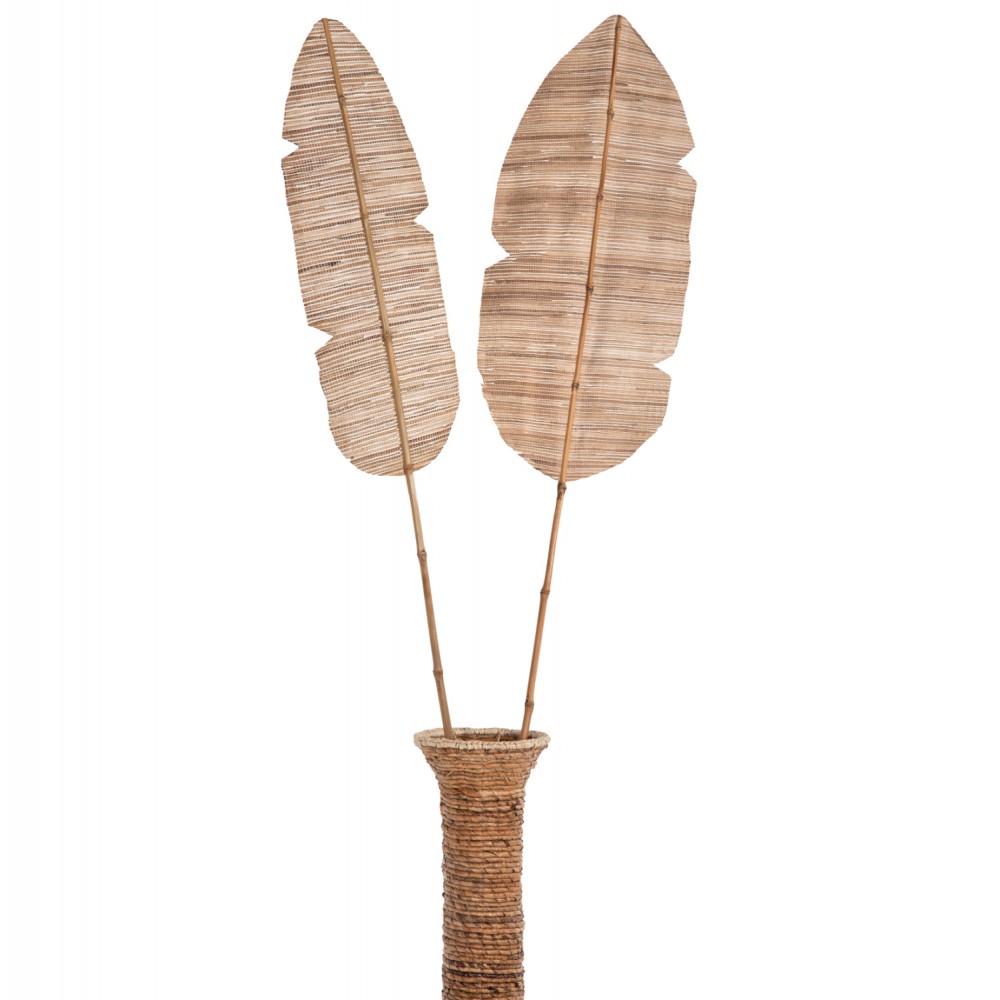 Διακοσμητικό φτερό από υδροϋάκινθο σε χρώμα φυσικό 32x3x200