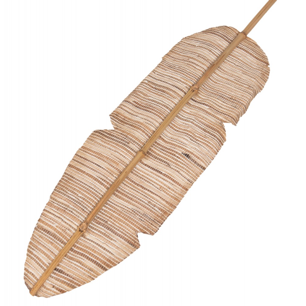 Διακοσμητικό φτερό από υδροϋάκινθο σε χρώμα φυσικό 15x3x200