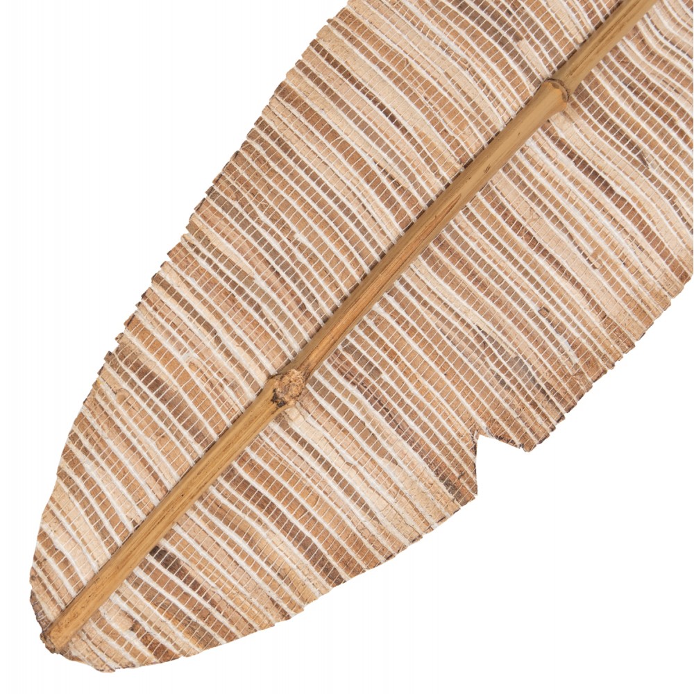 Διακοσμητικό φτερό από υδροϋάκινθο σε χρώμα φυσικό 15x3x200