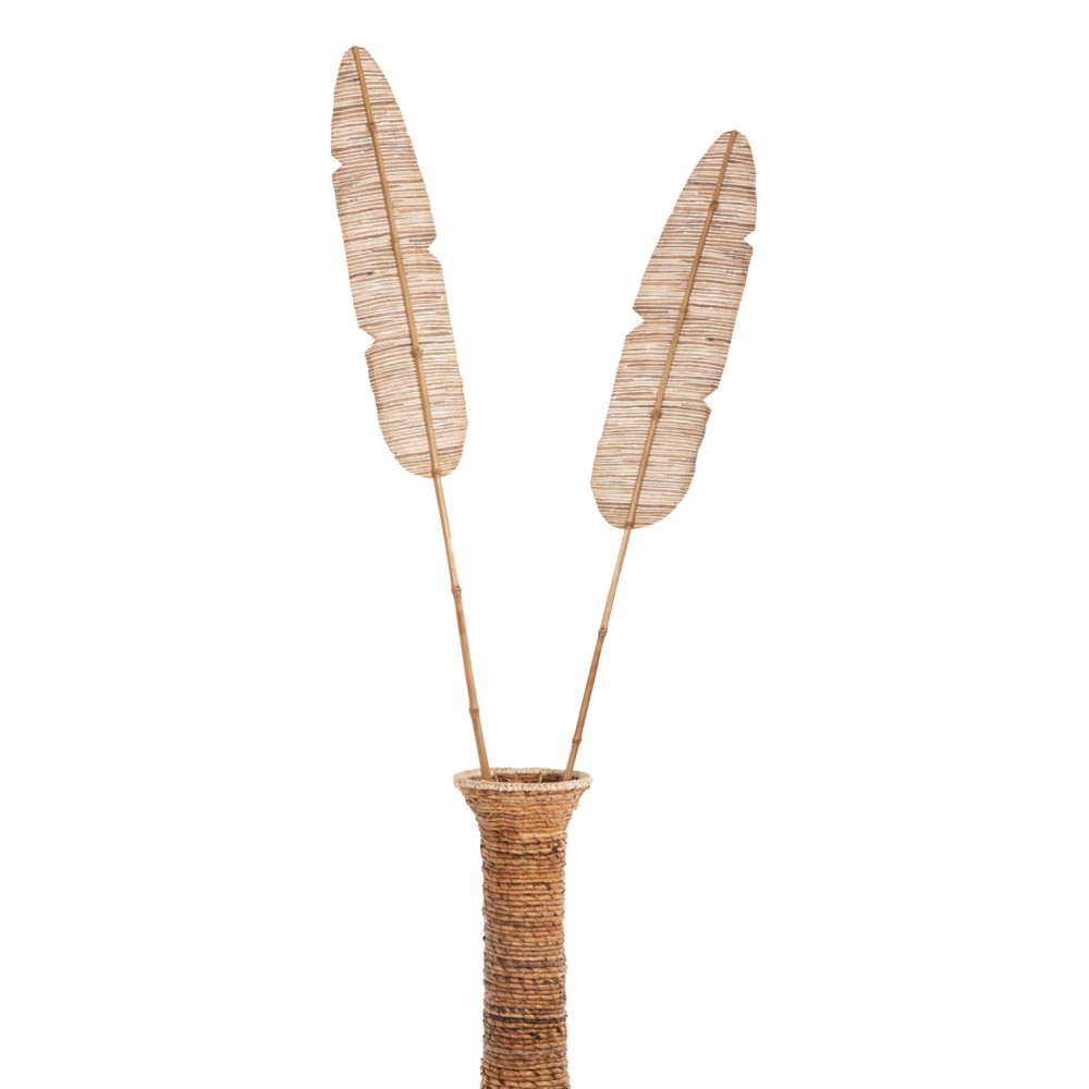 Διακοσμητικό φτερό από υδροϋάκινθο σε χρώμα φυσικό 15x3x200