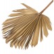 Διακοσμητικό φτερό από αποξηραμένες ίνες φοίνικα σε χρώμα φυσικό 30x3x102