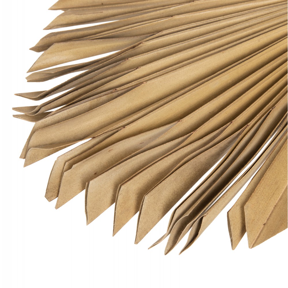 Διακοσμητικό φτερό από αποξηραμένες ίνες φοίνικα σε χρώμα φυσικό 30x3x102