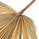Διακοσμητικό φτερό από αποξηραμένες ίνες φοίνικα σε χρώμα φυσικό 30x3x102