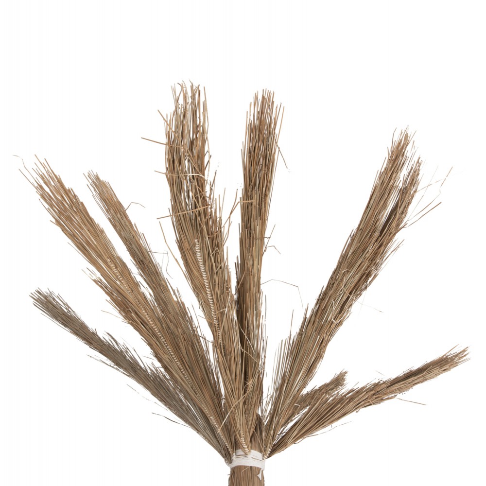 Διακοσμητικό δέντρο "TROPIC"  σε χρώμα φυσικό 360